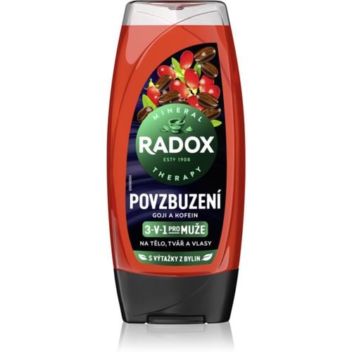 Men Invigorating Duschgel für Herren 3in1 225 ml - Radox - Modalova