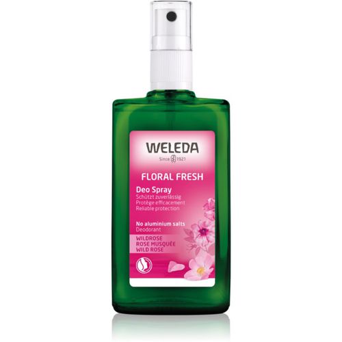 Weleda Rose deodorante 100 ml - Weleda - Modalova