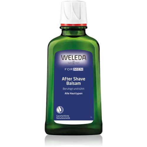 Men After Shave Balsam 100 ml - Weleda - Modalova