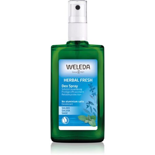 Weleda Sage deodorante 100 ml - Weleda - Modalova