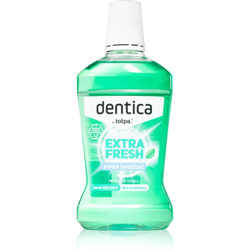 Dentica Extra Fresh collutorio per un alito fresco lunga durata 500 ml - Tołpa - Modalova