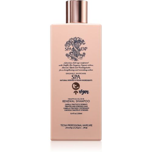 Spa Renewal Shampoo champú regenerador 250 ml - Tecna - Modalova