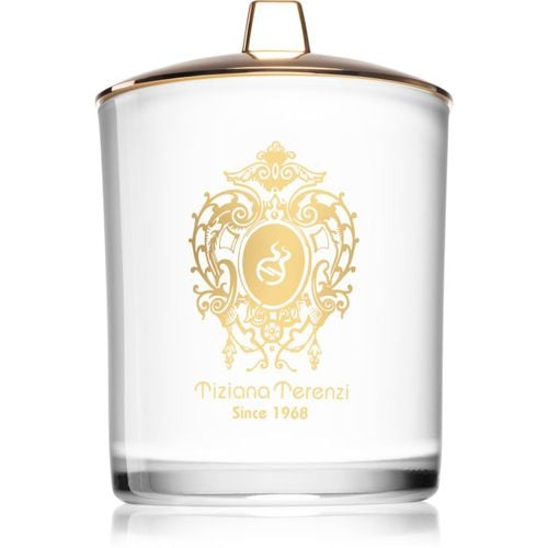 Gold Rose Oudh candela profumata con stoppino in legno 900 g - Tiziana Terenzi - Modalova