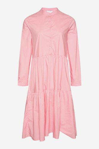 Lipe Dress Light pink - Noella - Modalova