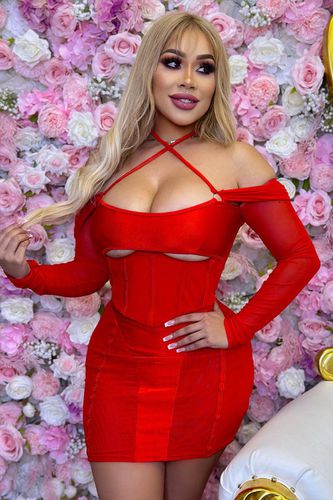 Red Boned Corset Contour Mesh Cut-Out Long Sleeves Sexy Dress - AMIClubwear - Modalova