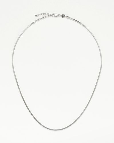 Lucy Williams Short Square Snake Chain Necklace - Missoma - Modalova