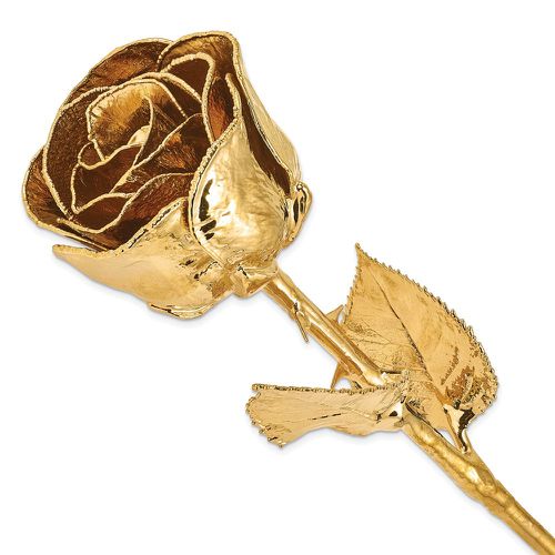 K Gold Dipped Rose - Jewelry - Modalova