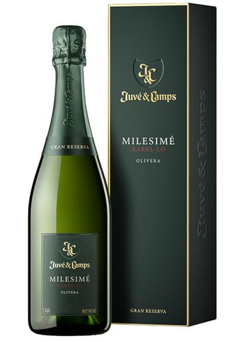 Juvé & Camps Milesimé Xarel. Lo Olivera 2017 Sparkling Wine - Juvé&Camps - Modalova