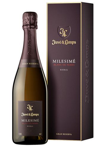 Juvé & Camps Millesimé Blanc de Noirs Rieral Sparkling Wine - Juvé&Camps - Modalova