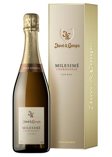 Juvé & Camps Milesimé Chardonnay Can Rius 2018 Sparkling Wine - Juvé&Camps - Modalova