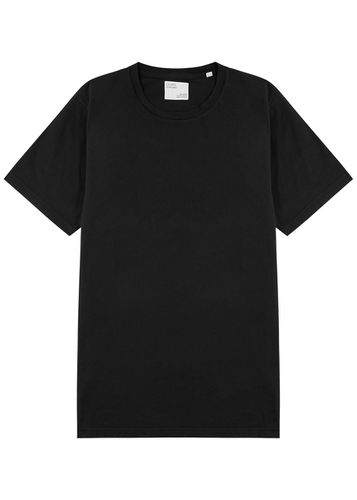 Cotton T-shirt - - Xxl - COLORFUL STANDARD - Modalova