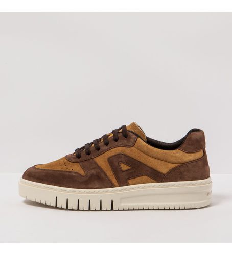 Unisex. 11777S1VB003_0MU Baskets en cuir 1777S Silk Suede Toffee-Chocolate (36), Tissu, Plat, 1 à 3 cm, Casuel, Multicolore - Art - Modalova