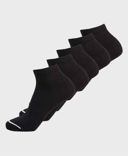 Pack de 5 calcetines deportivos - Superdry - Modalova
