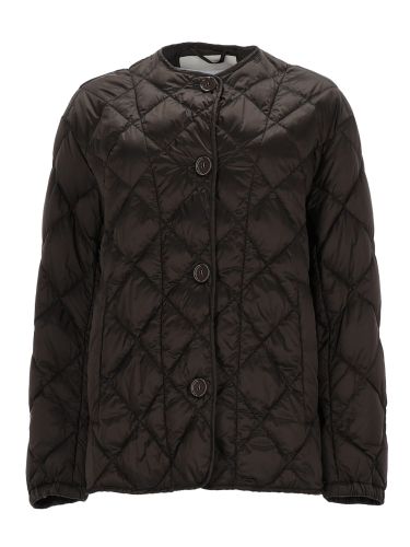 S max mara "softd" jacket - s max mara - Modalova