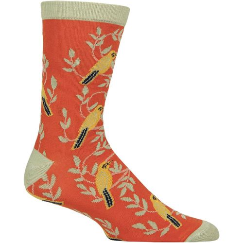 Mens and Women's 1 Pair Shared Earth Fair Trade Indian Inspired Bamboo Socks Birds UK 3-7 - SockShop - Modalova