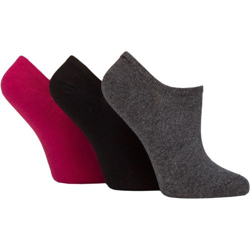 Ladies 3 Pair Plain and Patterned Cotton Trainer Socks Black / Grey / Plum Plain 4-8 Ladies - Pringle - Modalova
