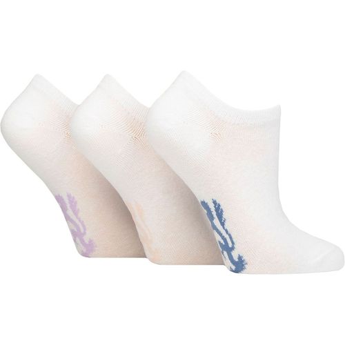 Ladies 3 Pair Pringle Plain and Patterned Cotton Trainer Socks Lion White / Lilac 4-8 - SockShop - Modalova