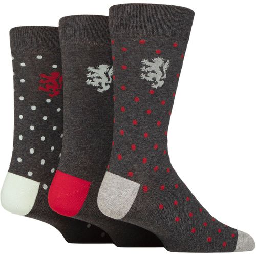 Mens 3 Pair Patterned Cotton Socks Polka Dots Charcoal 7-11 - Pringle - Modalova