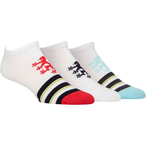 Mens 3 Pair Plain and Patterned Cotton Secret Socks Red Lion Toe Stripes 7-11 Mens - Pringle - Modalova