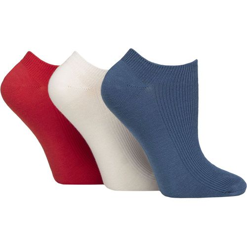 Women's 3 Pair Patterned, Striped, Plain, Ribbed and Mesh Bamboo Trainer Socks Nautical Ribbed 4-8 - SockShop - Modalova