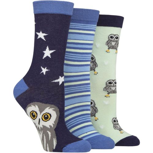 Ladies 3 Pair SOCKSHOP Cotton Novelty Patterned Socks Owl 4-8 - Wildfeet - Modalova