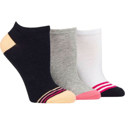 Ladies 3 Pair SOCKSHOP Cotton Patterned Trainer Socks Toe Stripes Navy / Grey / White 4-8 - Wildfeet - Modalova