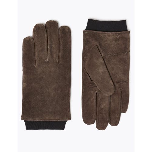 Suede Gloves brown - Marks & Spencer - Modalova