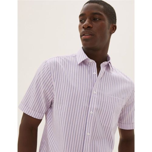 Pure Cotton Regular Fit Striped Short Sleeve Shirt pink - Marks & Spencer - Modalova