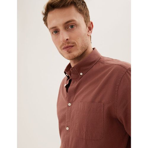Easy Iron Pure Cotton Pindot Shirt brown - Marks & Spencer - Modalova