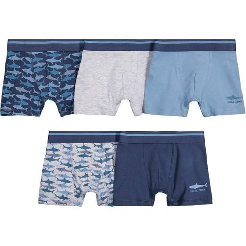 Pack of 5 Boxers in Shark Print Cotton - LA REDOUTE COLLECTIONS - Modalova