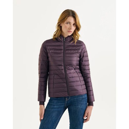 Cha Padded Puffer Jacket with High Neck and Zip Fastening - JOTT - Modalova