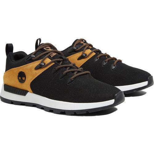 Sprint Trekker Low Trainers - Timberland - Modalova