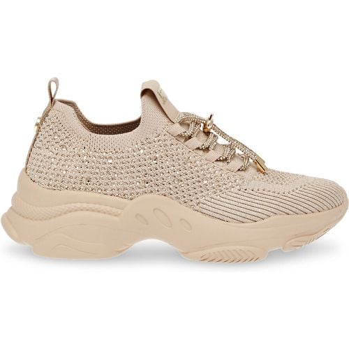 Meter Trainers - Steve Madden - Modalova