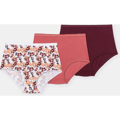 Pack of 3 Maxi Knickers in Organic Cotton - Playtex - Modalova