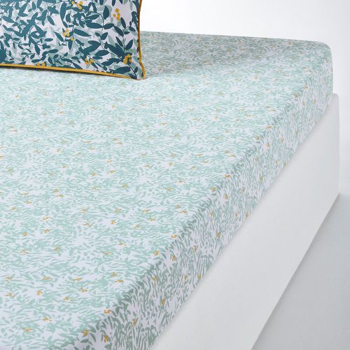 Foliage Floral 100% Cotton Percale 200 Thread Count Fitted Sheet - LA REDOUTE INTERIEURS - Modalova