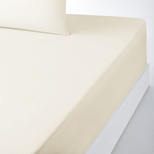 Scenario Plain 100% Cotton Fitted Sheet for Deep Mattresses (32cm) - LA REDOUTE INTERIEURS - Modalova