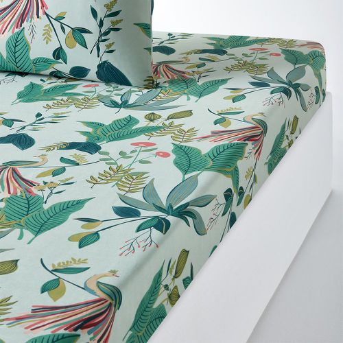 Somerset Tropical Cotton Percale 200 Thread Count Fitted Sheet - LA REDOUTE INTERIEURS - Modalova