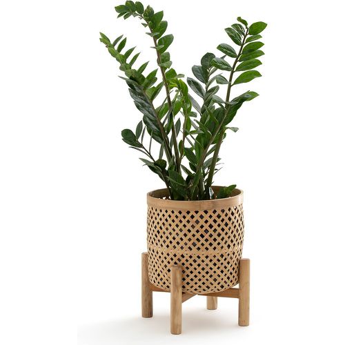 Bambu 26cm Diameter Bamboo Raised Flowerpot - LA REDOUTE INTERIEURS - Modalova