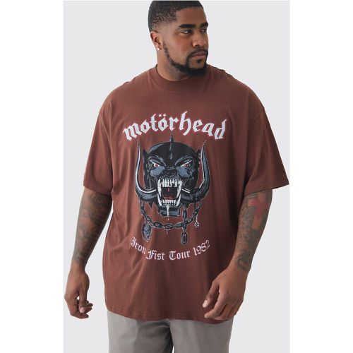 Plus Motor Head License Print T-Shirt - boohoo - Modalova