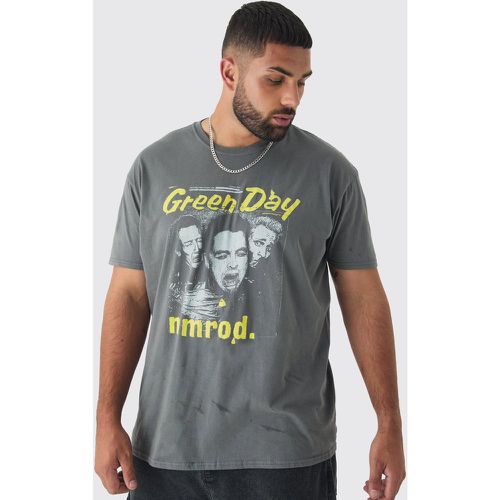 T-shirt Plus Size ufficiale con stampa Green Day - boohoo - Modalova