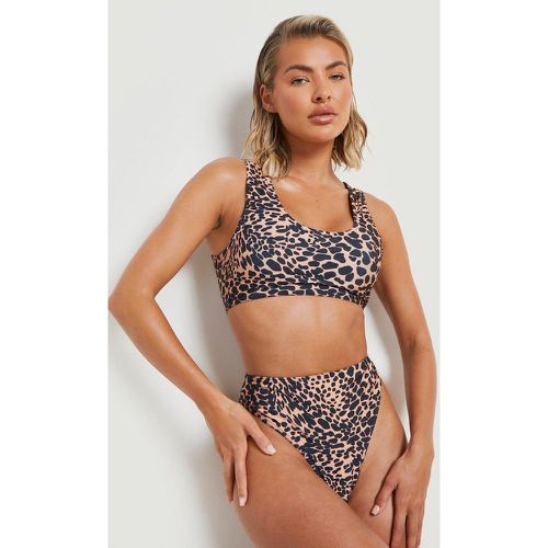 Set bikini leopardato a vita alta con scollo rotondo - boohoo - Modalova