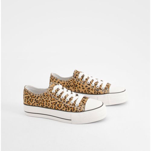 Scarpe da ginnastica basse con stampa leopardata e lacci - boohoo - Modalova