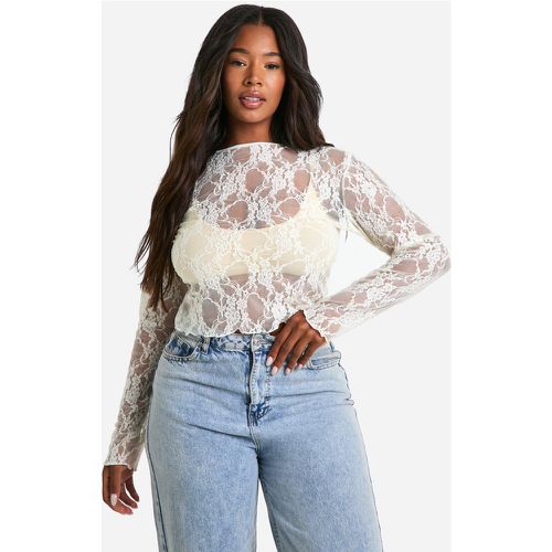 Top Plus De Encaje, Blanco - boohoo - Modalova