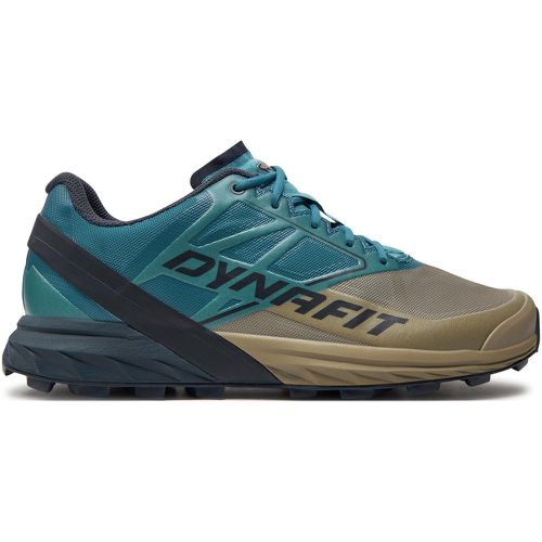 Scarpe running Alpine 5285 - Dynafit - Modalova