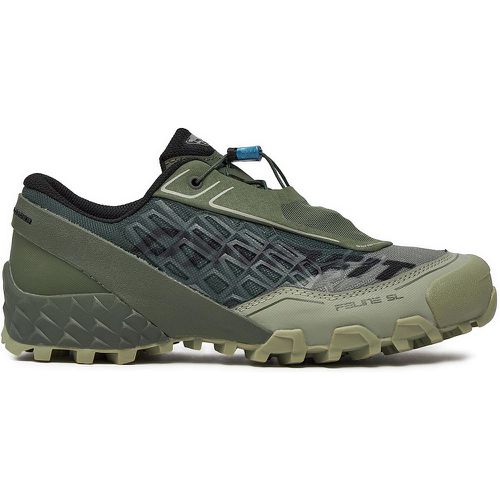 Scarpe running Feline SL 5654 - Dynafit - Modalova