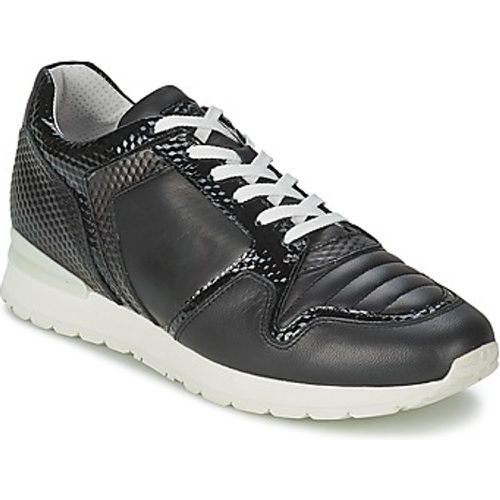 KATE 420 women's Shoes (Trainers) in - Bikkembergs - Modalova