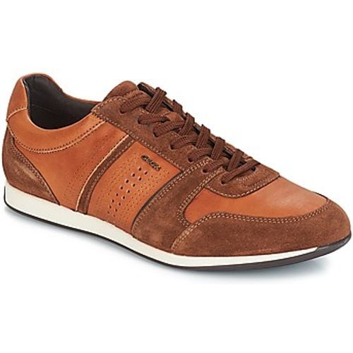 CLEMENT men's Shoes (Trainers) in - Geox - Modalova