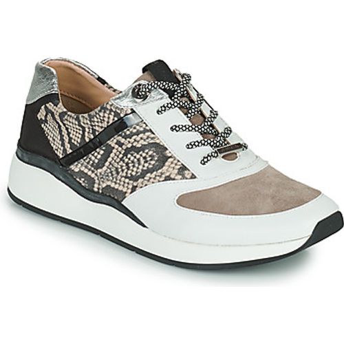 KALIO women's Shoes (Trainers) in - JB Martin - Modalova