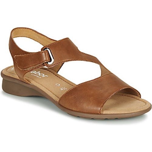 KESTE women's Sandals in - Gabor - Modalova