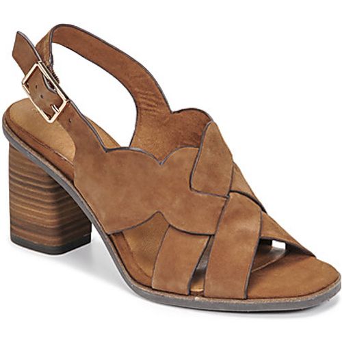 NOAMY women's Sandals in - tamaris - Modalova